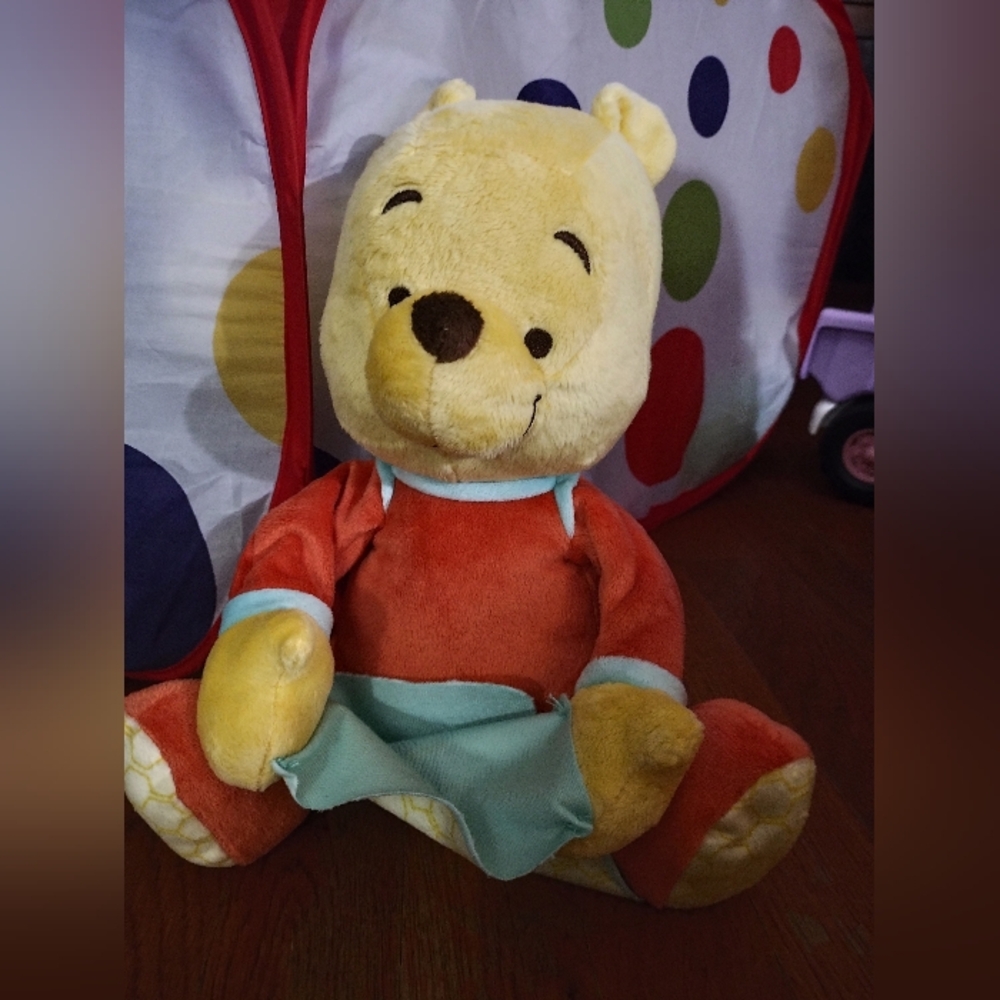 Peek A Boo Winnie the Pooh Plush